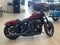 2019 Harley-Davidson Iron 883 IRON 883