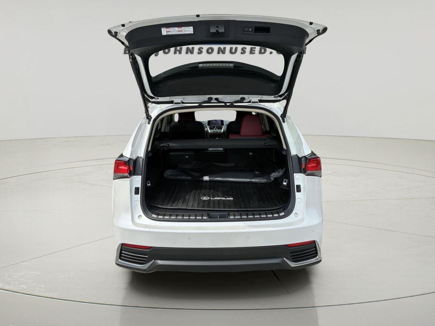 2020 Lexus NX NX 300h