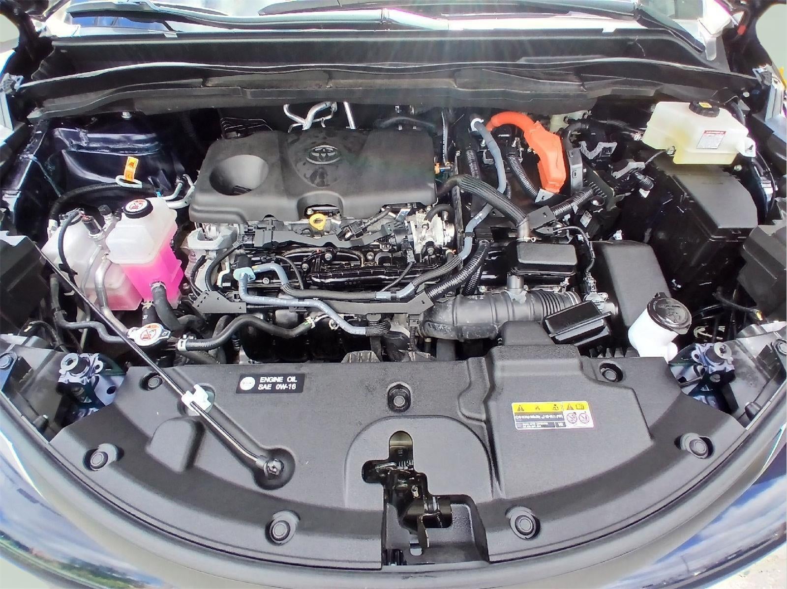 2025 Toyota Sienna XLE 7-Passenger