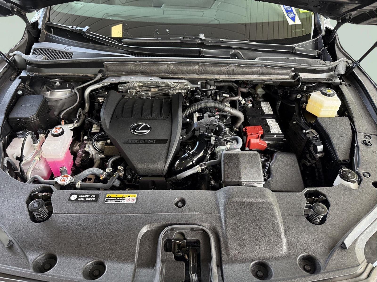 2025 Lexus Rx PREMIUM