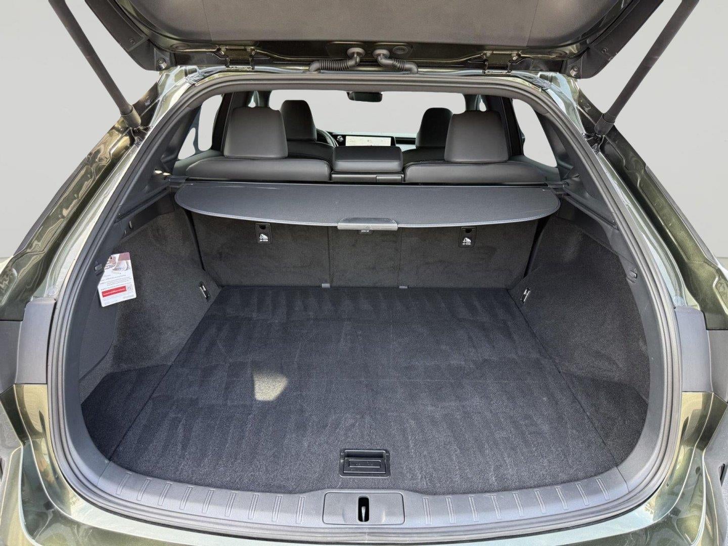2025 Lexus Rx 350H PREMIUM