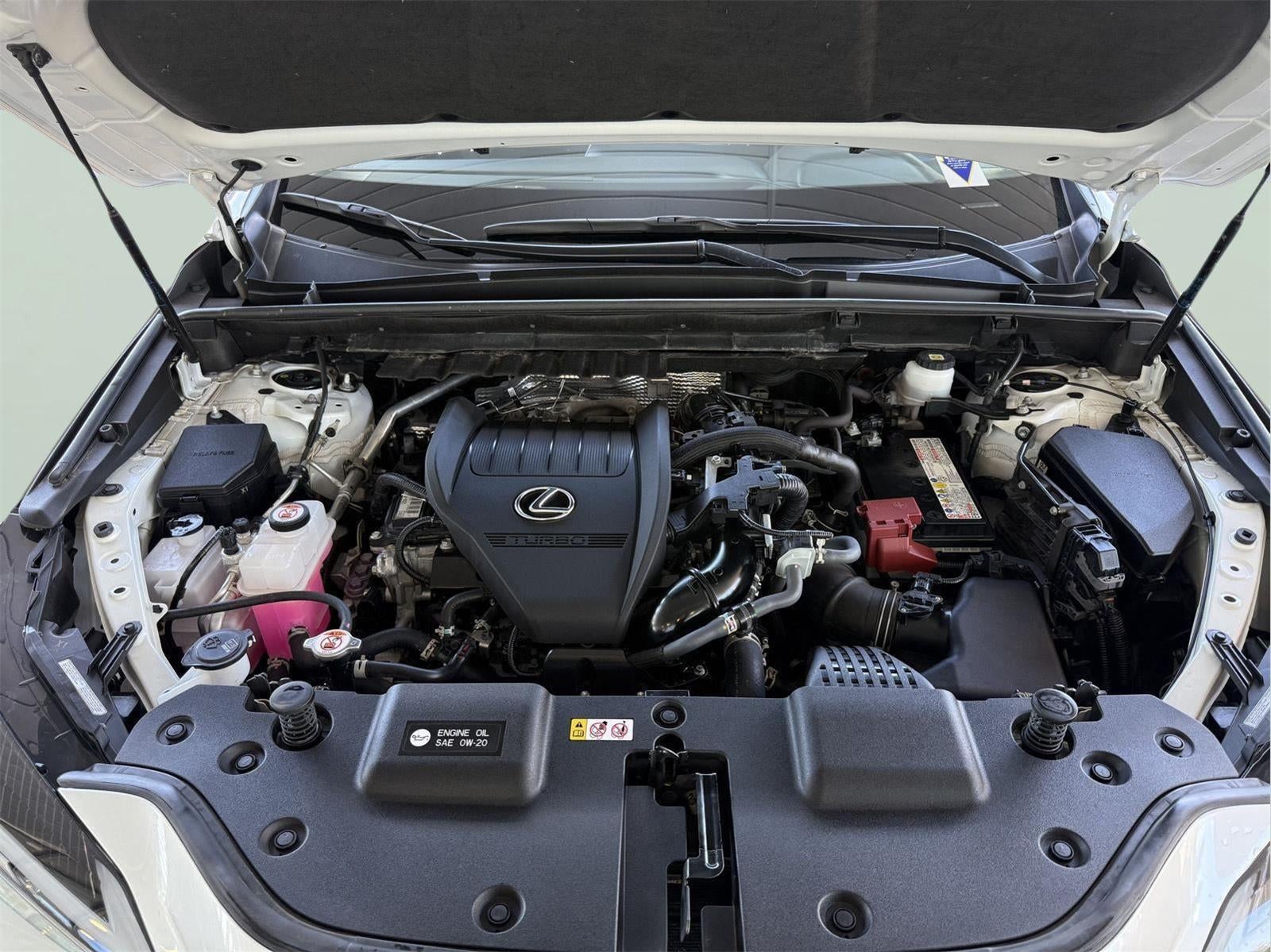 2024 Lexus NX 350 AWD