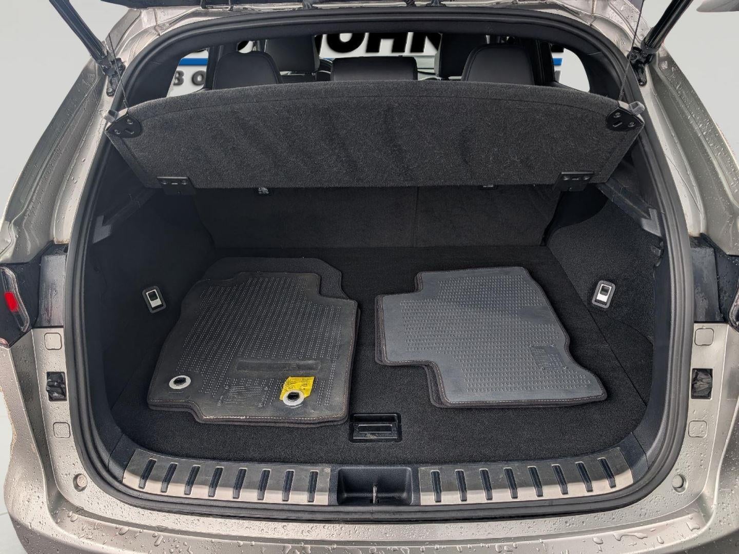 2019 Lexus NX 300 NX 300 F SPORT