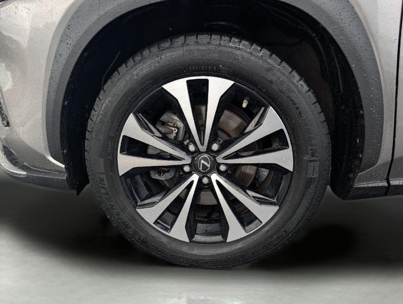 2019 Lexus NX 300 NX 300 F SPORT