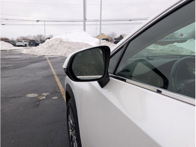 2016 Lexus NX2 F Sport