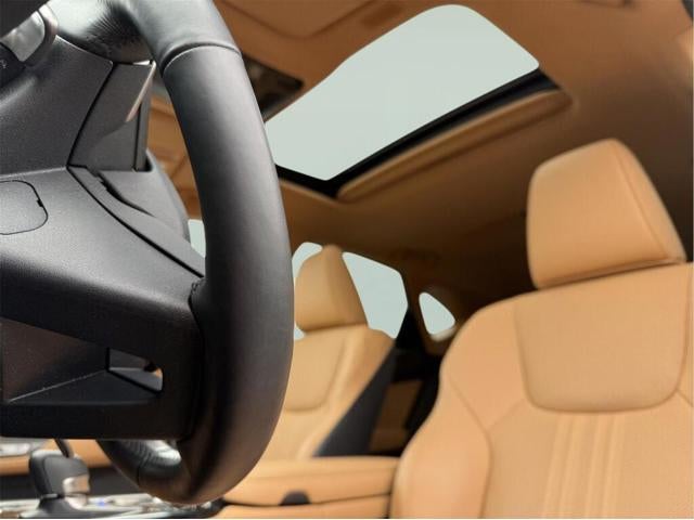 2024 Lexus NX 350h PREMIUM